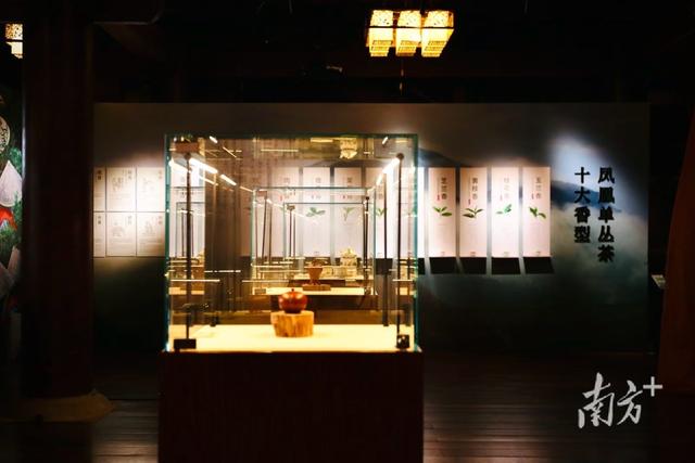 国庆期间镇海楼首开“夜游模式”，工夫茶艺术展迎八方来客