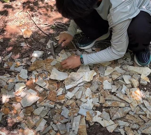 来辽宁“寻宝”，捡石头路线都给你摸清楚儿的