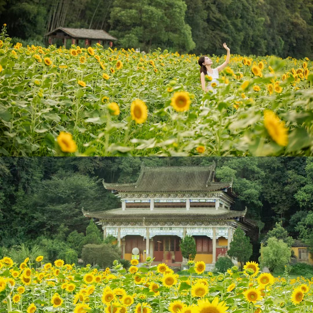 江西的秋，究竟美在哪？