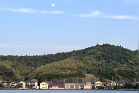 在偏僻小岛上，年轻人如何创造不同于都市的生活图片