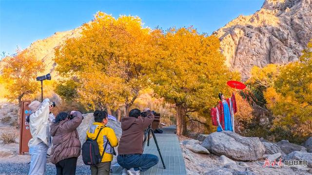 敦煌：秋染悬泉谷 胡杨绘画卷