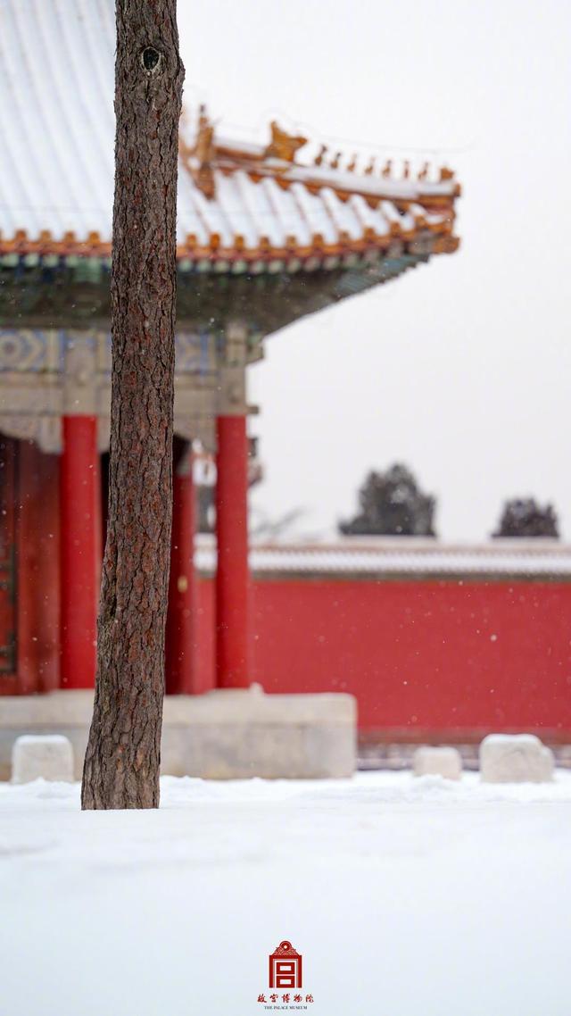 故宫雪景上新！来看鹅毛大雪里的金瓦红墙