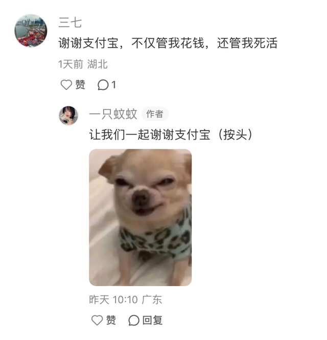支付宝首页怎么了！网友边吐槽边追更