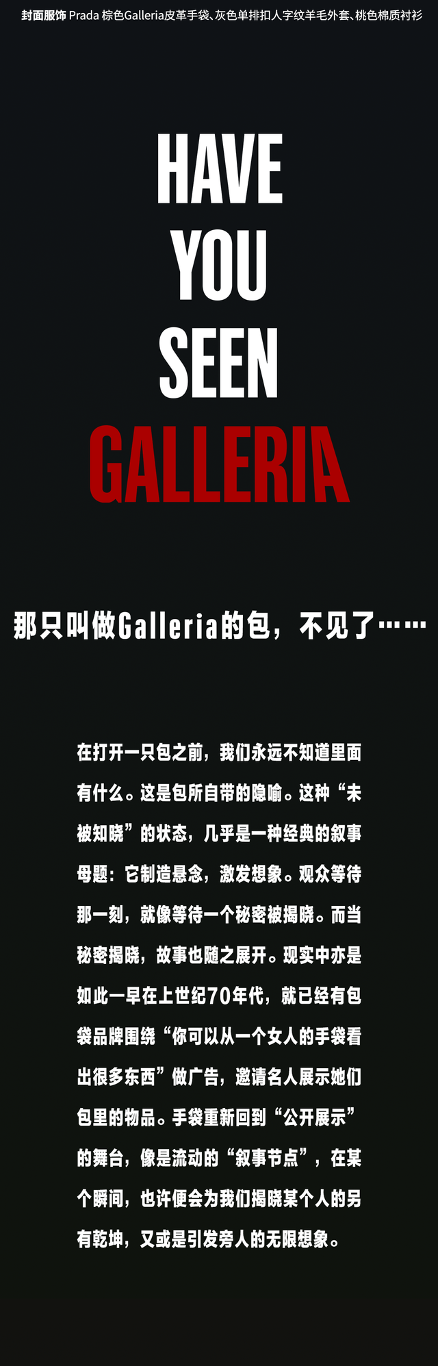 那只叫做Galleria的包，不见了……