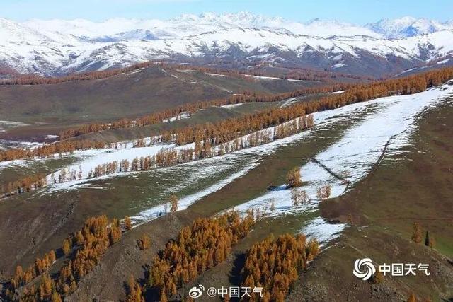 开始下雪了！？杭州人做好准备