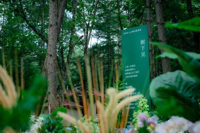 暑假余额告急！学生免门票游白云山，解锁夏日清凉狂欢模式～