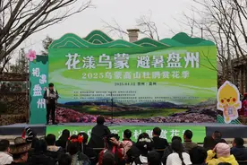 2025乌蒙高山杜鹃赏花季盛大开幕——盘州市以花为媒打造文旅新名片图片
