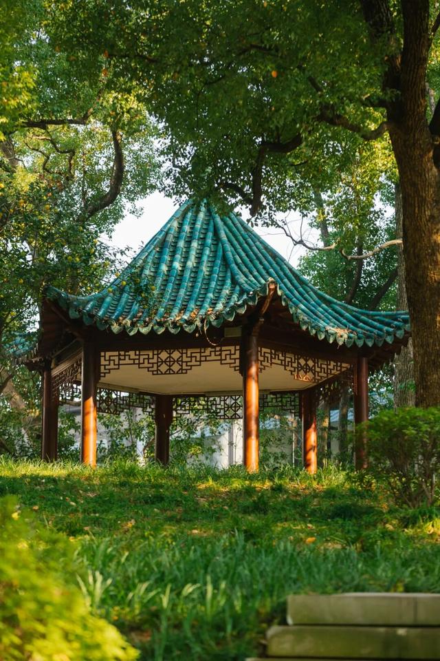 东湖秋日图鉴②｜邂逅听涛，定格秋的独家记忆