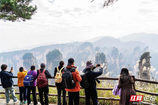 【每日一图@湖南】秋冬自驾必冲！张家界黄石寨暖阳峰林美到出圈