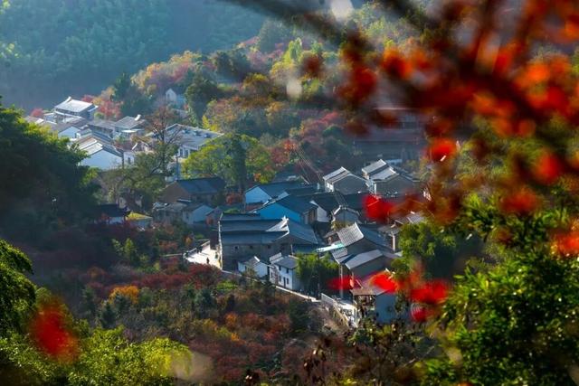 Hi走奉化③ | 拿下最高峰！蜘蛛岭古道虽累，但这秋色值了！