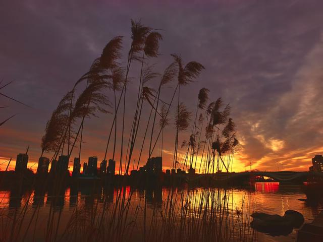 绝美朝霞来了！风歇月晕笼，霞流江泛红