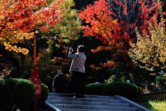 别再问威海去哪赏秋了！这俩公园本地人都去了