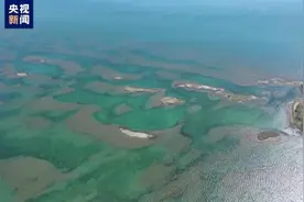 青海湖国家公园拟建范围面积为1.16万平方公里图片
