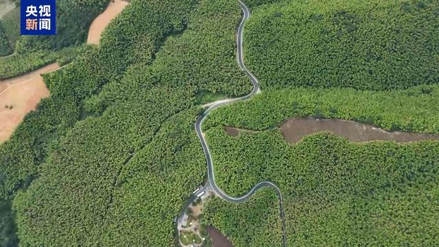 竹乡画廊、浙北山水线……最美农村路成乡村游“最火打卡地”