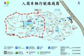 济南植物园开启自驾游春光行！图片