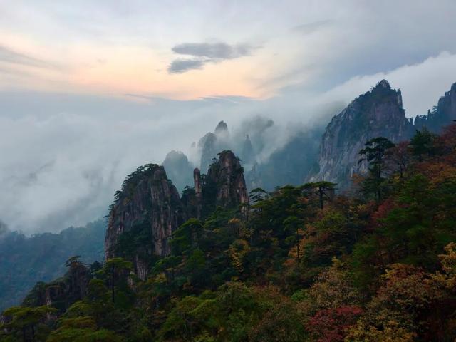 出片率100%！黄山风景区进入最佳赏秋期