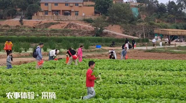 湖南文旅点名！渌口这7处 “宝藏目的地” ，赶紧去！