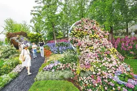 世界花园大会武汉会场开幕 39座新花园等您来看图片