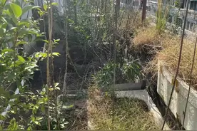 同人同地3张连续工单？热线帮您来解决图片