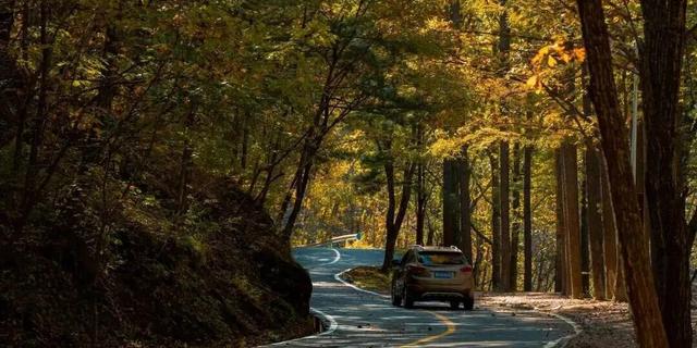 亮相央视！洛阳这些赏秋地，太美！