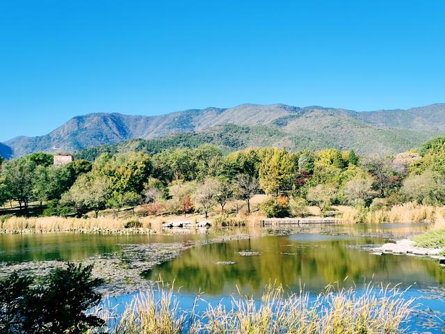 今日北京晴朗微风，有空走走，赏秋正当时