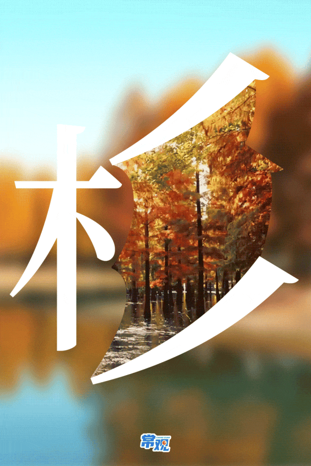 美翻了！大批常州人出动！