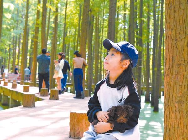 新蔡县：文旅融合赋新能 文脉传承润“水城”