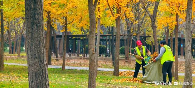 赏秋不用远足，济南森林公园诗意盎然