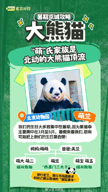 北京网红动物大盘点