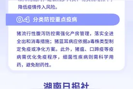 春季生猪疫病风险增加 湖南发布防控技术指导图片