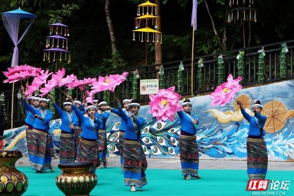 岁暖时刻丨西双版纳森林公园：彩裙碰彩伞，傣风裹着蕉香漫