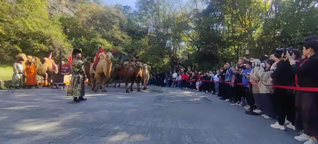 这个周末，在绍兴遇见“千里之外”的阿拉善