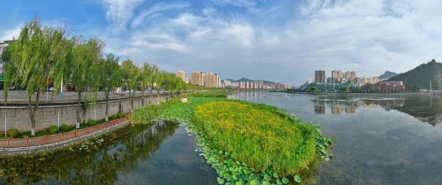 武烈河：夏日荷花开 生态画卷美