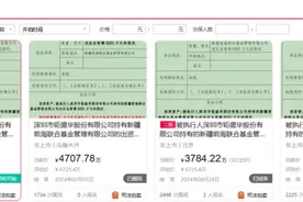 这家公募股权，第4次被拍卖！频频流拍是何原因？图片