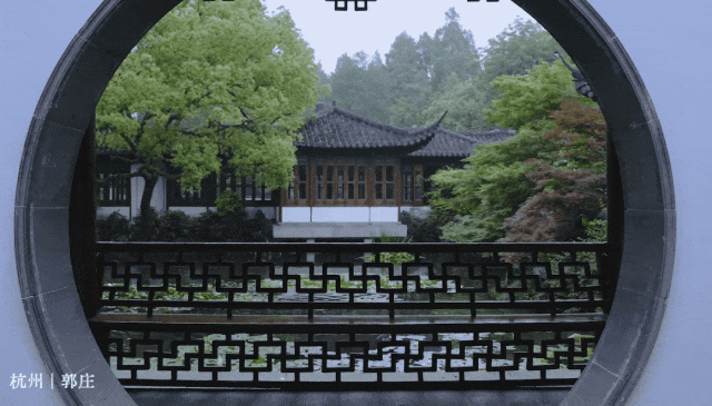 杭州这扇“绿色能量窗”又火了！快来框住属于你的瞬间