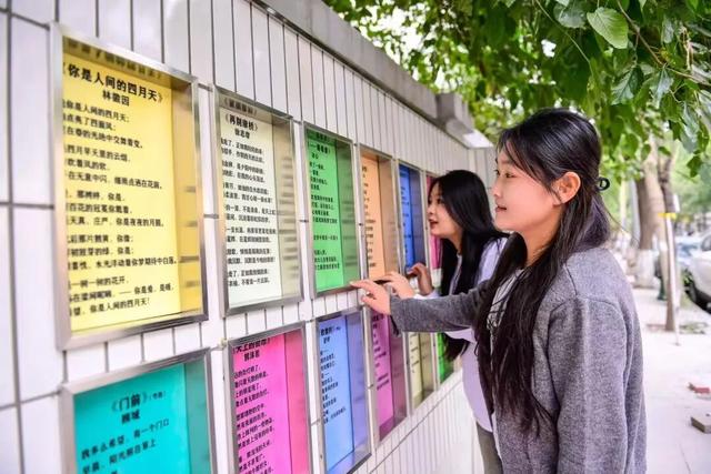 太美了！11月的沈阳，是这样的……