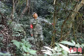 江西安远护林员守护山林44载 让东江源绿水长流图片