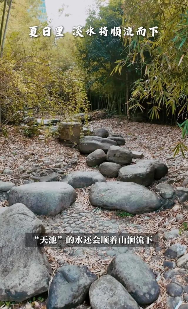 长宁的“双子山”爬过伐？跟着“宁宁”来爬山了！【看“宁”的】