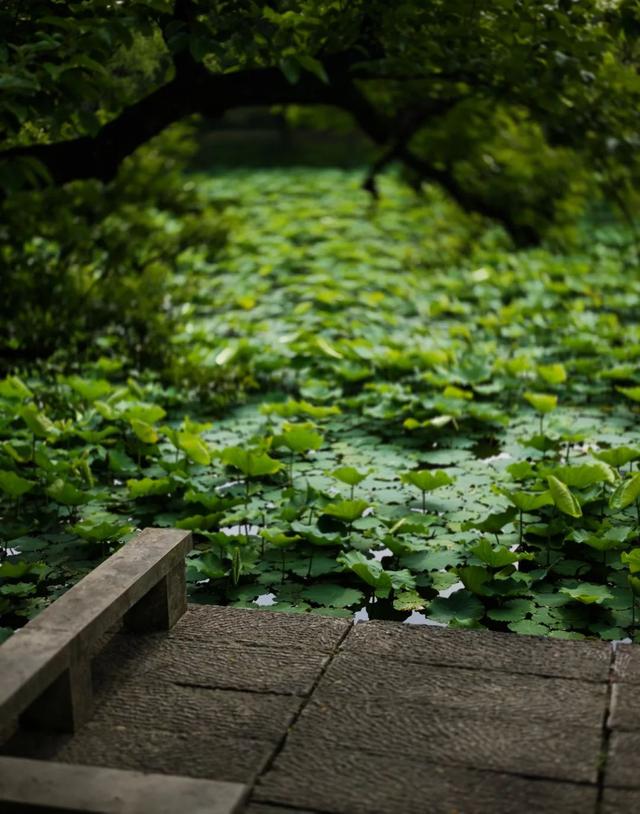 想搬去杭州了