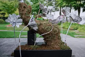 北山街道举办“全国生态日”西湖区主场活动图片