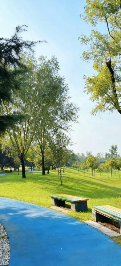 秋意浓，漫步图鉴就在→