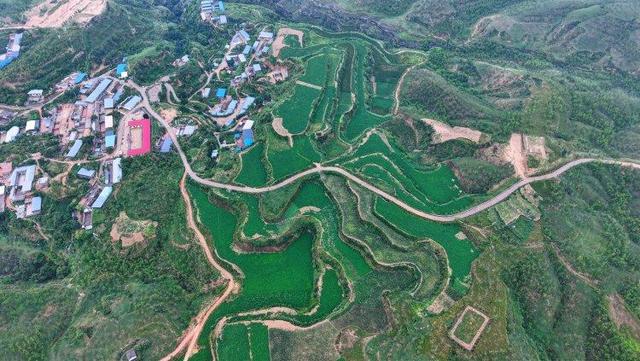 陕西神木万镇镇：山水枣乡织画卷 产旅融合谱华章