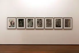 毛焰：语言和时间在肖像画中流淌图片