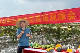 省农科院蔬菜所在佛山三水举办瓜类新品种示范现场观摩会图片
