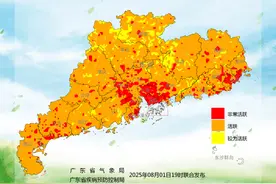 广东发布蚊子活跃度气象指数图片