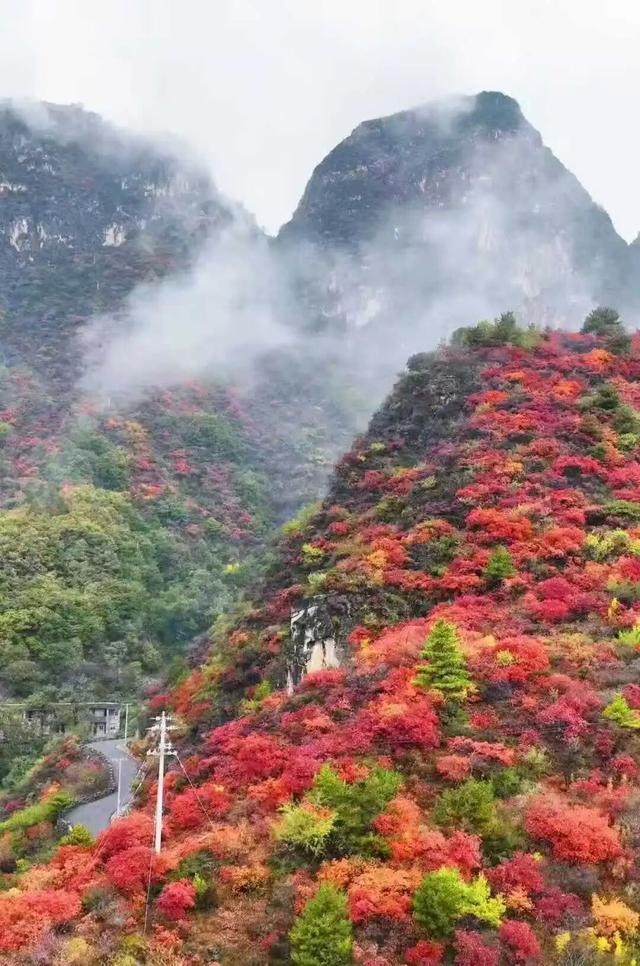 周末出发！河南最美彩色地图上线