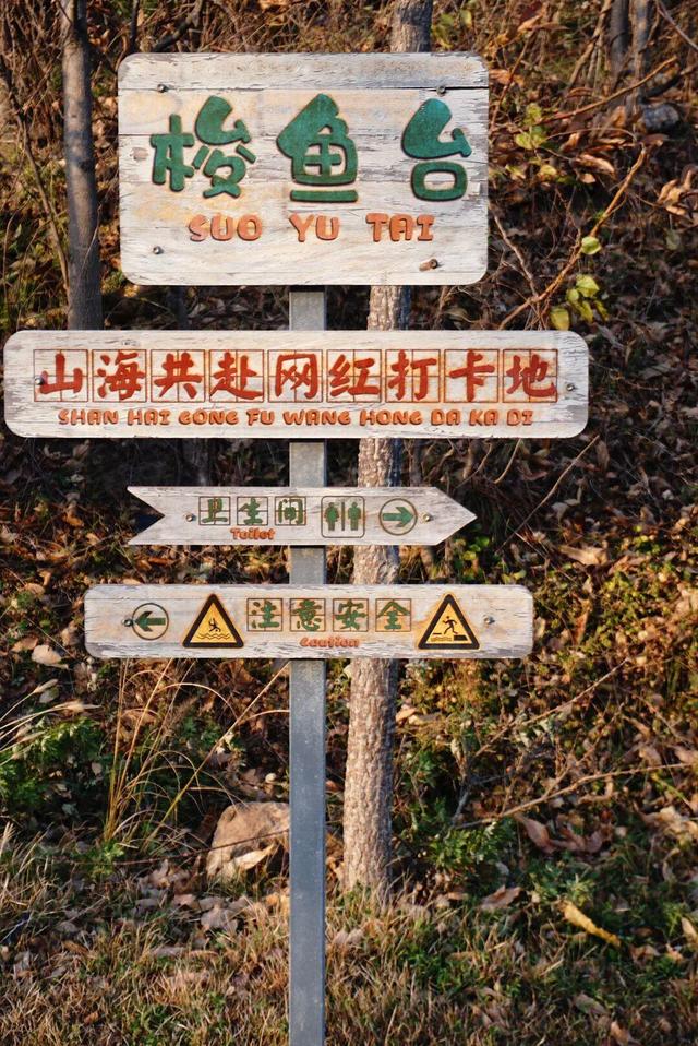 “鸥”遇环翠 “雪”舞浪漫丨威海这个地方，来一百次也不会腻