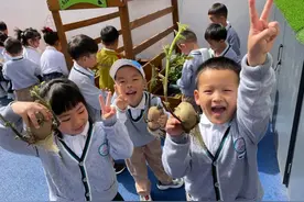 校园圈丨哪家幼儿园的小朋友那么子弟，原来是上了洋芋课图片