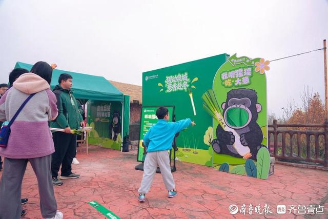 冬季大葱盛宴开启！济野黑猩猩爱吃章丘大葱