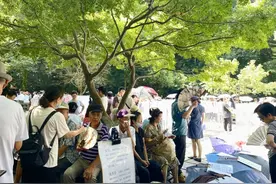 00后现身相亲角，七夕前的杭州万松书院“卷”成啥样？图片